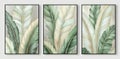 Set of three abstract creative tropical plant leaves art illustrations