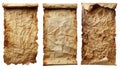 Set of three ancient crumpled parchment scrolls isolated on white. Royalty Free Stock Photo