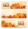 Set Of Three Autumn Sale Banners With Colorful Leaves Royalty Free Stock Photo