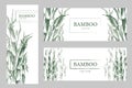 Set three banners with green bamboo trees. Vector illustration Traditional Japanese. Bamboo flyer. Natural Tropical Plant Royalty Free Stock Photo