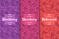 Set of three berries patterns. Blackberry, strawberry, red currant. Flat vector illustration Royalty Free Stock Photo