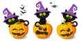 Set of three black kittens sitting on halloween pumpkins, on a white background. Hand drawing cartoon illustration