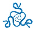 Set of Three Blue Snakes in Cartoon Flat Style