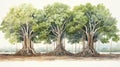 Set of Three Bold Watercolor Banyan Tree Roots AI Generated