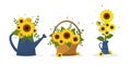 A set of three bouquets of sunflower in a garden watering can, in a woven basket and in a blue jug. Vector illustration Royalty Free Stock Photo