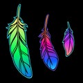 Set of three bright feathers