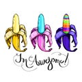 Set of three Cartoon multicolored bananas and lettering awesome on a white background. Elements for design, print t