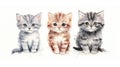 Set of Three Cats: Watercolor Illustration of Cats Characters AI Generated Royalty Free Stock Photo