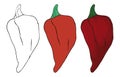 Set with three chili peppers in different versions, Vector illustration