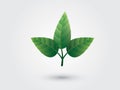 A set of three close green leaf together for logo Royalty Free Stock Photo