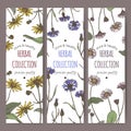 Set of three color labels with mountain arnica, cornflower and daisy sketch.