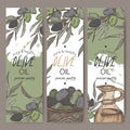 Set of three color vector olive oil label templates.