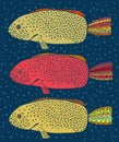 Set of three colored fish Royalty Free Stock Photo