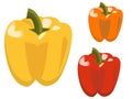 Set of three colorful bell peppers, red, yellow and orange isolated on white background Royalty Free Stock Photo