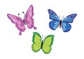 Set of three colorful butterfly Royalty Free Stock Photo