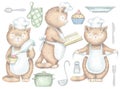 Set with three cooking cats and kitchenware