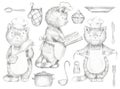 Set with three cooking cats and kitchenware