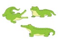 Set of three crocodiles