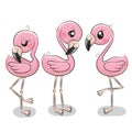 Set of three cute cartoon flamingos