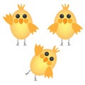 Set of three cute chickens Royalty Free Stock Photo
