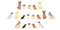 Various dogs border set2