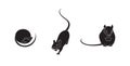 Set of three cute mice. Mouse animal silhouette isolated on white background. Stylized little rodent pet vector illustration Royalty Free Stock Photo