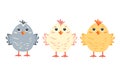 Set of three cute yellow, pink and gray Easter chicks isolated on a white background. Vector illustration. Royalty Free Stock Photo