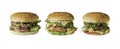Set of three different burgers with beef, chicken, cheese, onions and tomatoes Royalty Free Stock Photo