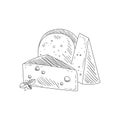 Set Of Three Different Cheeses Hand Drawn Realistic Sketch