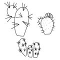 Set of three different contour cactus, prickly desert succulents for design