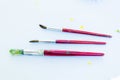 A set of three dirty paintbrushes
