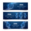 Set of three DNA spiral horizontal banners. Horizontal illustration for homepage design. Genetic helix low poly symbols