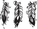 Set of three drawing of feathers