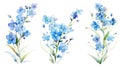 Set of Three Dreamy Watercolor Forget-Me-Nots AI Generated