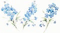 Set of Three Dreamy Watercolor Forget-Me-Nots AI Generated