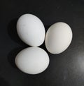 A set of three eggs, white and shiny, in a black tray. Royalty Free Stock Photo