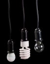 Set of three electric lamps in receptacle on black