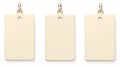 Set of three elegant blank hangtags in beige tones isolated on a white background with copyspace