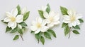 Set of Three Elegant Watercolor Jasmine Flowers AI Generated