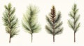 Set of Three Elegant Watercolor Spruce Branches AI Generated