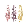 A set of three feathers. Contour drawing. Hand drawn.