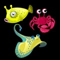 Set of three fish, Stingray, crab and cute bigeye