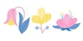 Set of three flowers in pink and blue with yellow on a white background. Vector illustration in a flat style. Icons, elements for Royalty Free Stock Photo