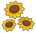 Set with three flowers with yellow petals in cartoon style, Vector illustration Royalty Free Stock Photo