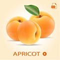 Set Of Three Fresh Apricots With Leaf.