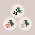 A set of three icons of black currant. Vector illustration Royalty Free Stock Photo