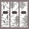 Set of three labels with amaranth, quinoa and chia sketch. Cereal plants collection.