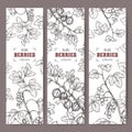 Set of three labels with Black currant, Red currant and Gooseberry sketch. Berry fruits series. Royalty Free Stock Photo