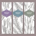 Set of three labels with lavender, rosemary and lemongrass.