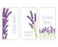 Set of three lavender banners Royalty Free Stock Photo